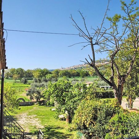 B&B Torrematta Ασίζη Εξωτερικό φωτογραφία
