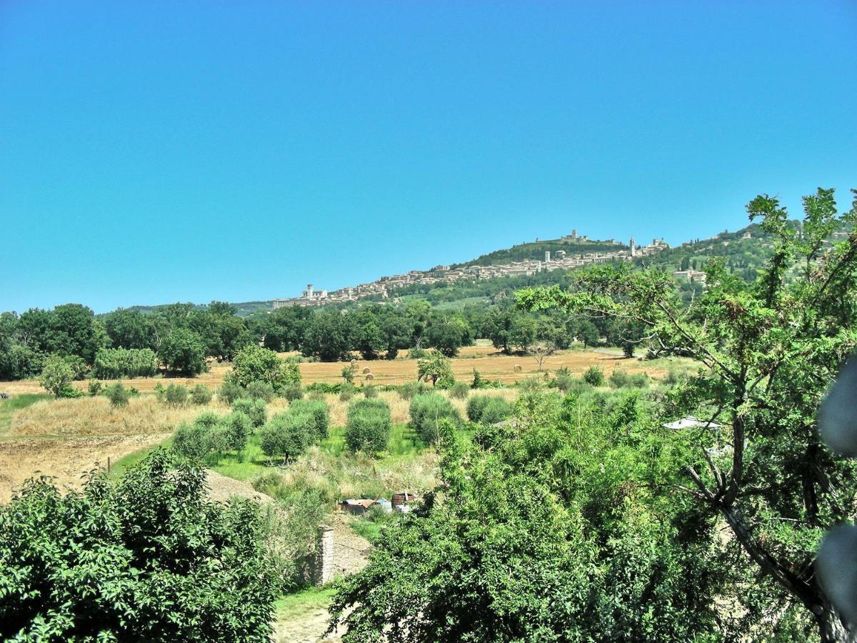 B&B Torrematta Ασίζη Εξωτερικό φωτογραφία