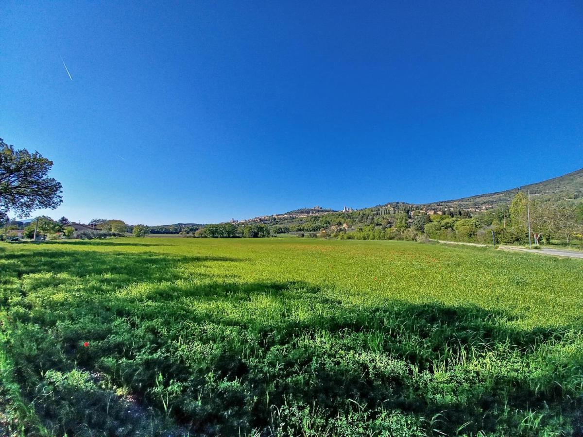 B&B Torrematta Ασίζη Εξωτερικό φωτογραφία