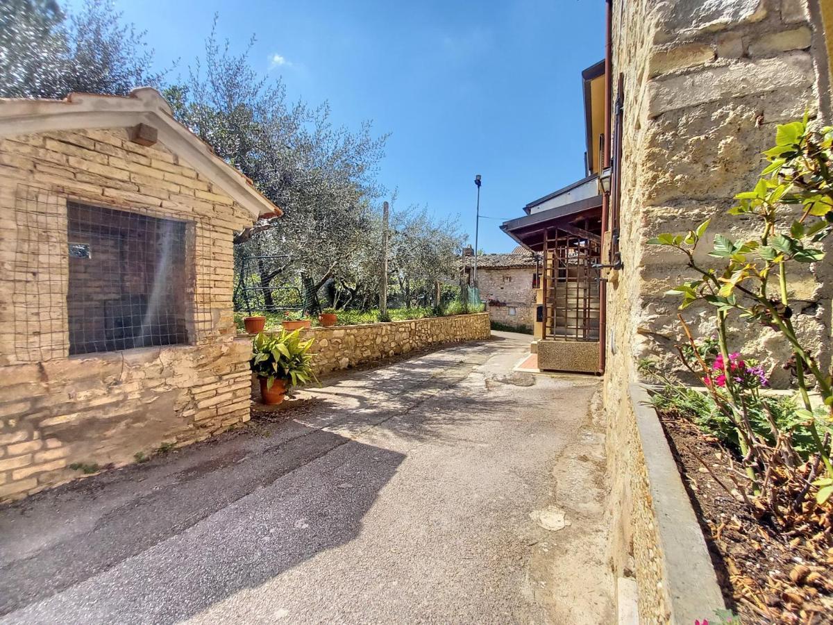 B&B Torrematta Ασίζη Εξωτερικό φωτογραφία