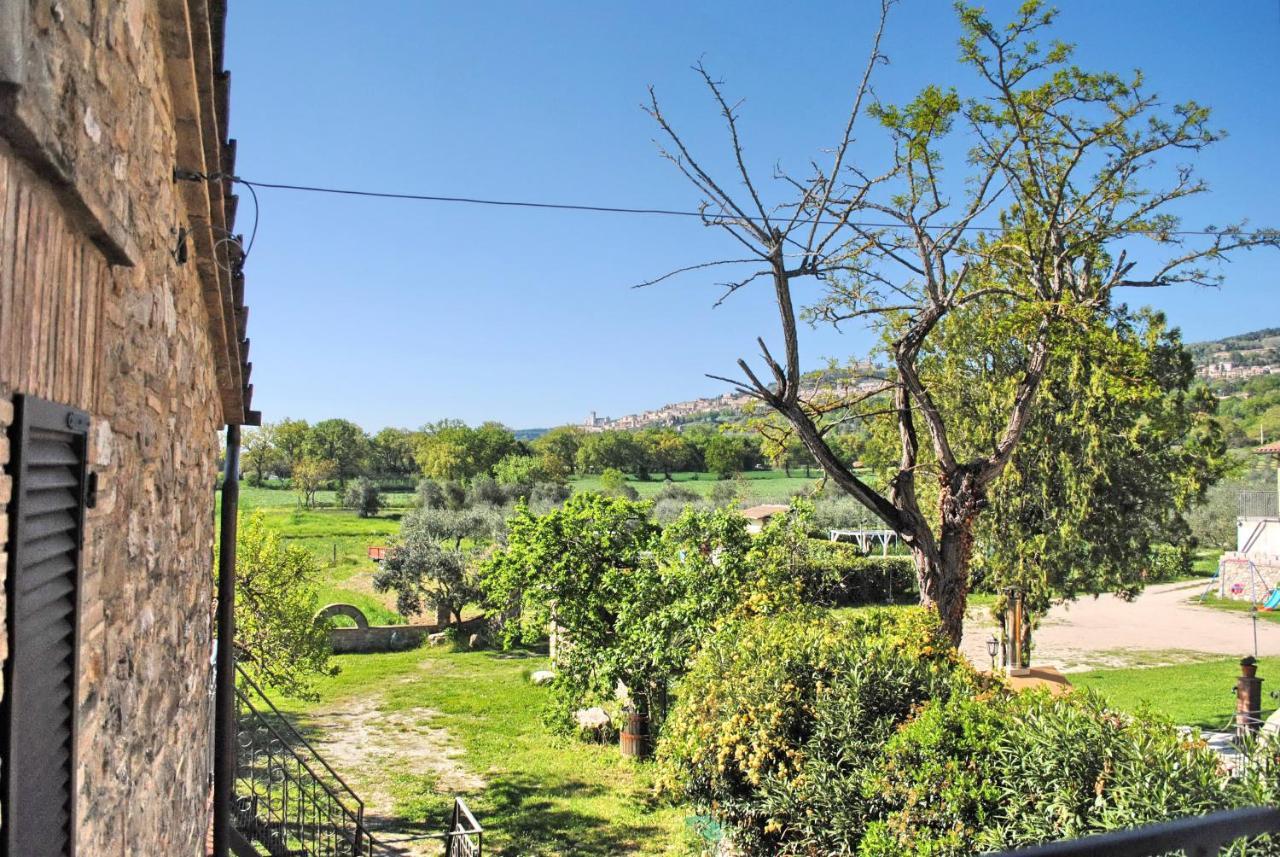 B&B Torrematta Ασίζη Εξωτερικό φωτογραφία